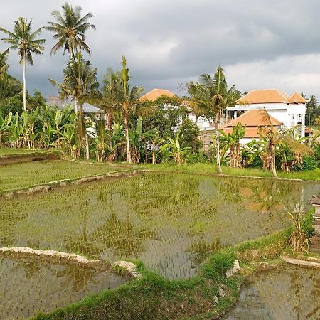 Villa Lanus อูบุด ภายนอก รูปภาพ
