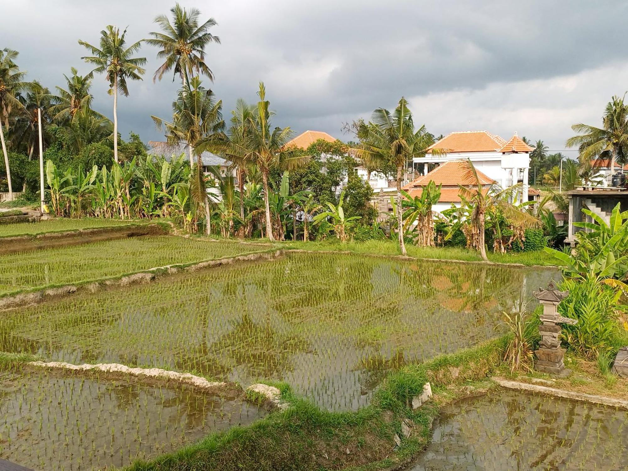 Villa Lanus อูบุด ภายนอก รูปภาพ